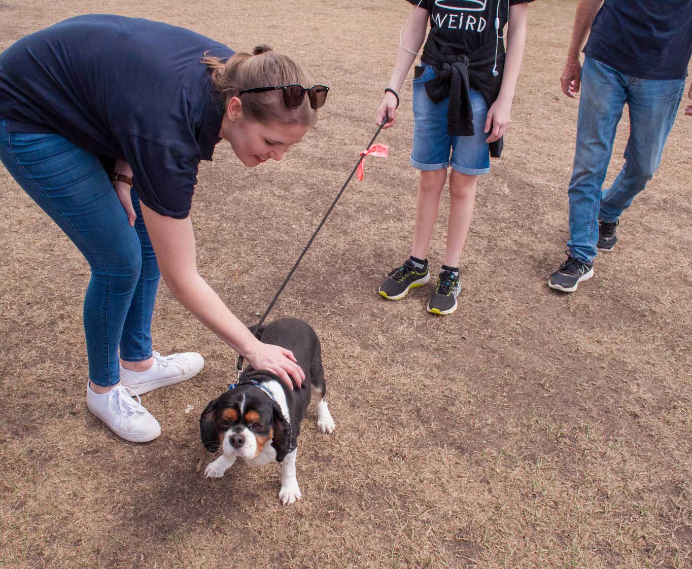 lady patting a dog