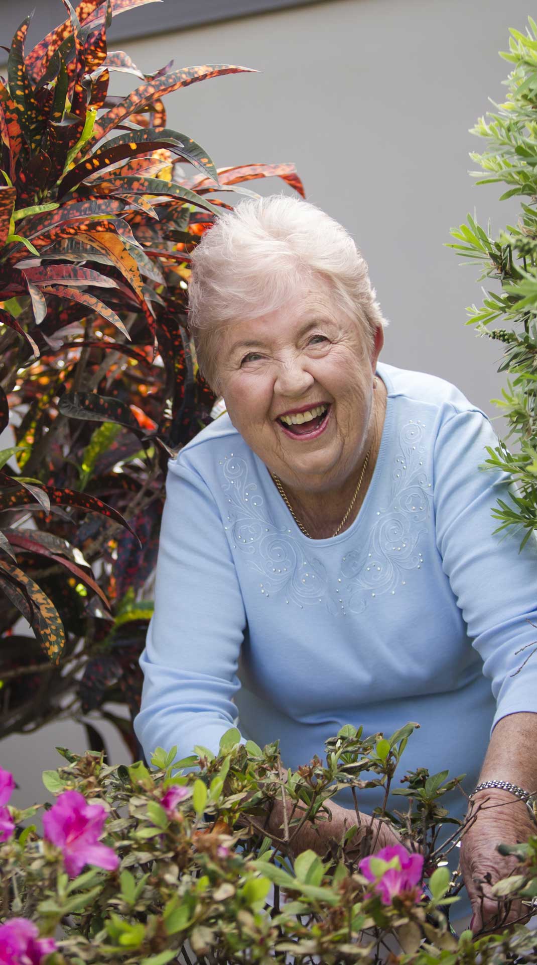 senior lady gardening