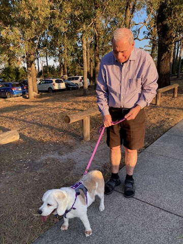 Barry Templeman walks beagle Ruby around Brookland park.